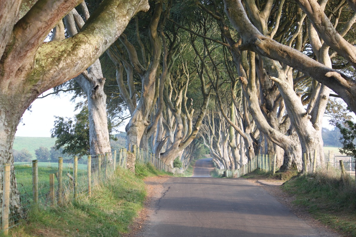 2nd. -  Mervyn Burkill